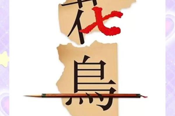 八字头字的变化与演变,探索汉字的魅力 八字头字的变化与演变,探索汉字的魅力