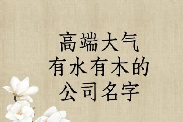 高端大气的名字如何为品牌增添魅力 高端大气的名字如何为品牌增添魅力