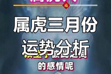 今日运势看生肖虎：事业与感情的双重考验