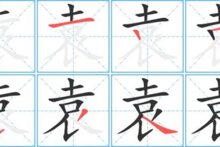 袁字的五行解析：揭示其对命运的深远影响