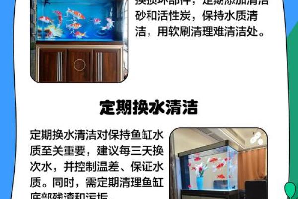 提升职场运势,界首办公室鱼缸风水指南 提升职场运势,界首办公室鱼缸风水指南