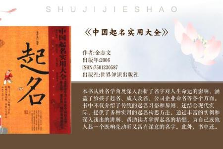 探索那些独特名字的起源与意义