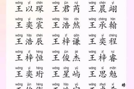 岳字在宝宝名字中的文化象征与选择建议