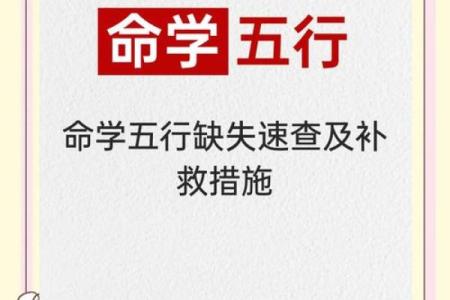 周易五行算命揭秘：如何根据五行分析你的命运走势
