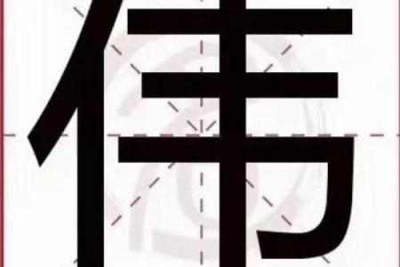 商贸公司起名技巧：如何巧妙融入伟字提升公司形象
