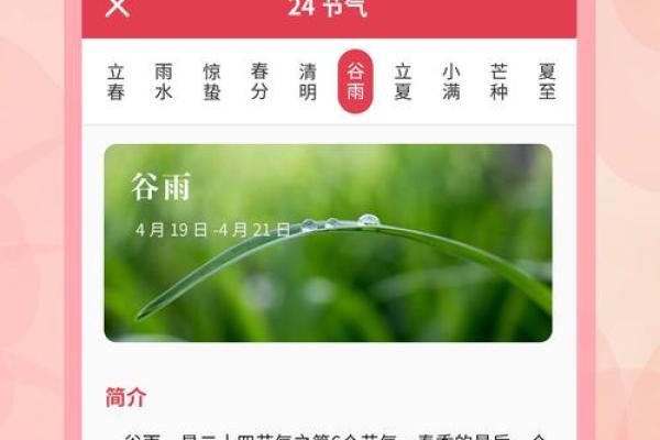 一键解锁万年历,从此时间不再错过 一键解锁万年历,从此时间不再错过