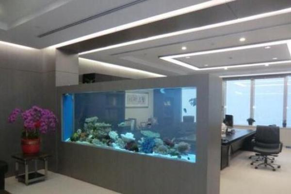 办公室卫生间风水禁忌及其对职场运势的作用
