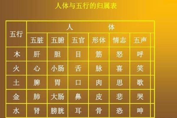 欣五行的定义与应用:让你了解五行的独特魅力 欣五行的定义与应用:让你了解五行的独特魅力