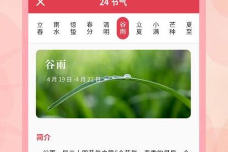 一键解锁万年历，从此时间不再错过