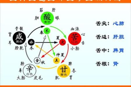 欣五行的定义与应用：让你了解五行的独特魅力