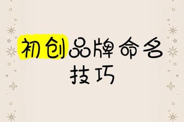 打造属于你的品牌：公司命名的关键步骤