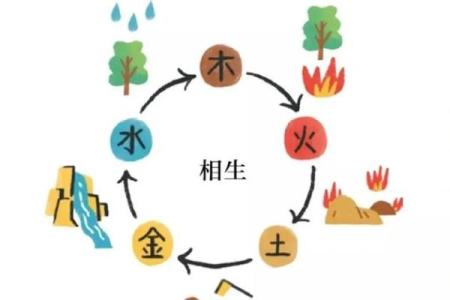 健康五行超：五行相生相克，揭秘你身体的秘密