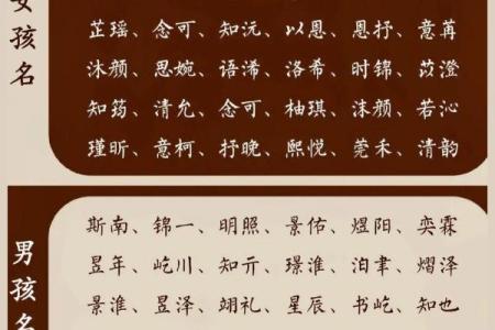 给牛宝宝取名，瑾字的文化底蕴如何传递