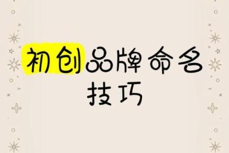 打造属于你的品牌：公司命名的关键步骤