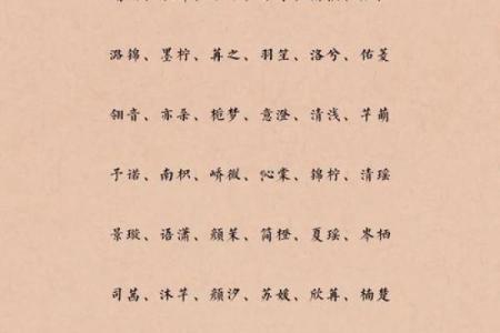 出生女宝宝名字推荐 温婉又独特