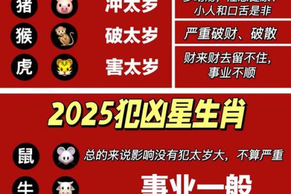 十二生肖运程大揭秘 十二生肖运程大揭秘