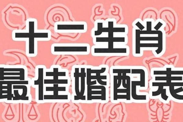 属相与爱情运势的深度关联