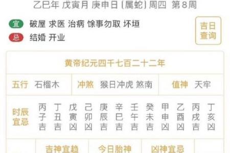 十二生肖运程大揭秘