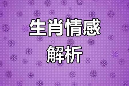 属相与爱情运势的深度关联