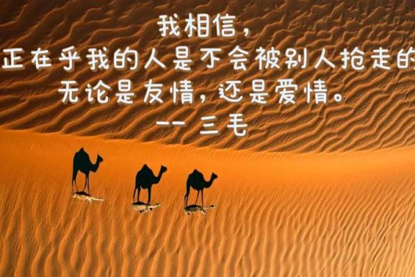 三毛八字预测未来,给你人生指引的智慧 三毛八字预测未来,给你人生指引的智慧