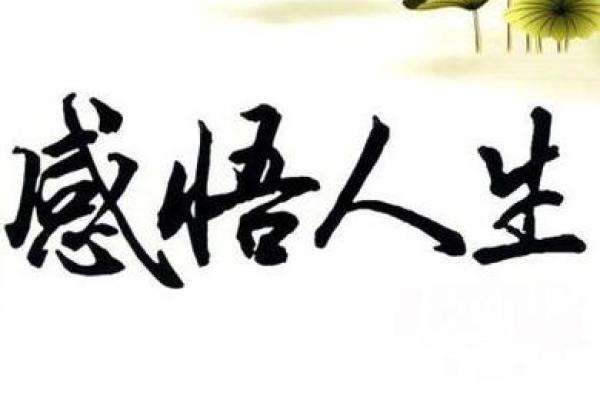 三毛八字预测未来,给你人生指引的智慧 三毛八字预测未来,给你人生指引的智慧