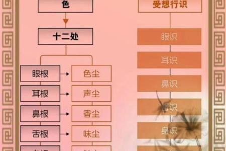 六经与五行：解密传统文化中的奥秘与联系