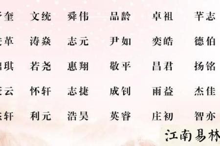 如何为猪宝宝起个既可爱又有寓意的名字