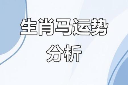 属马人在的运势起伏与最佳应对策略