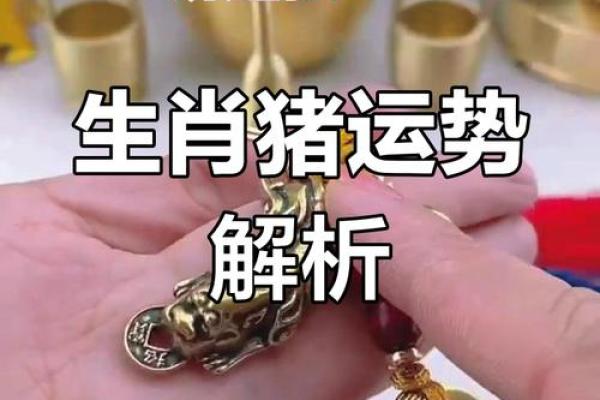 属猪运势解析:事业与财运的双重考验 属猪运势解析:事业与财运的双重考验
