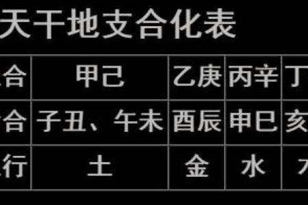 了解生辰八字表格，轻松解读命运密码，助你走向人生巅峰！
