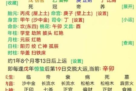 宝宝生辰八字：预测孩子未来的命运与运势指南