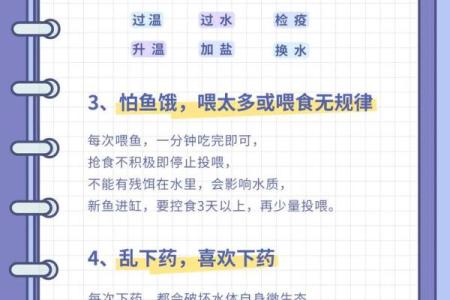 办公室养鱼的风水讲究与注意事项