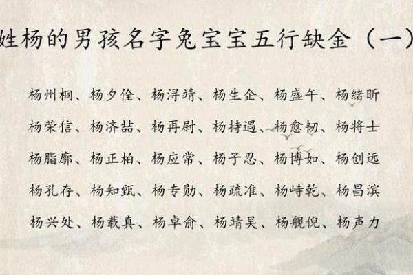 如何为宝宝取个带杨字的有意义名字 如何为宝宝取个带杨字的有意义名字