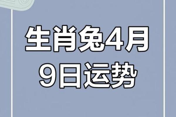 每日生肖运程分析,掌握好运的关键时刻 每日生肖运程分析,掌握好运的关键时刻