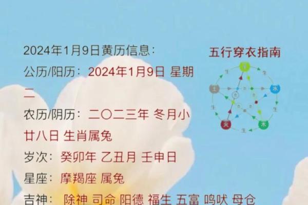 每日生肖运程分析,掌握好运的关键时刻 每日生肖运程分析,掌握好运的关键时刻