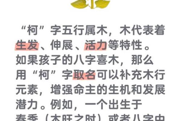 五行属木是什么意思?深入解析木元素的独特特点与影响 五行属木是什么意思?深入解析木元素的独特特点与影响