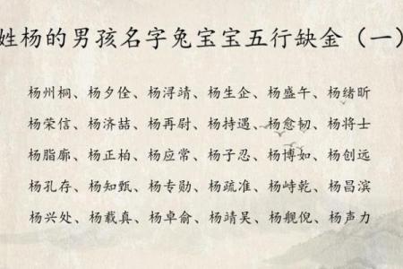 如何为宝宝取个带杨字的有意义名字