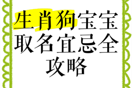 男孩狗宝宝起名宝典 提升你的选择灵感