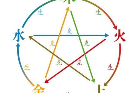 五行属木是什么意思？深入解析木元素的独特特点与影响