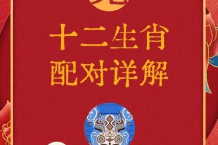 提升属兔人职场运势的办公室风水秘笈