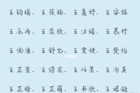 为王姓女孩挑选一个有意义的名字