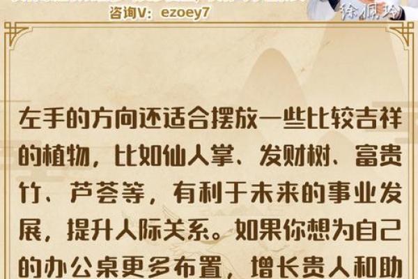 掌握办公室风水潜规则 助你事业步步高升 掌握办公室风水潜规则 助你事业步步高升