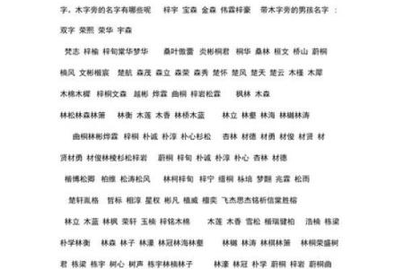木字旁名字大全：为宝宝取个富有诗意的名字