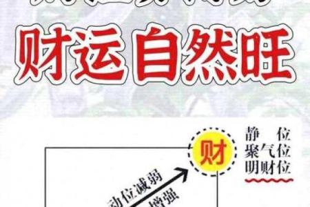 探索风水奥秘，提升家居运势的关键要素