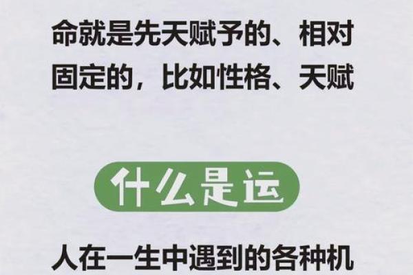 批八字算命:揭开命运的秘密,了解你的未来走向 批八字算命:揭开命运的秘密,了解你的未来走向