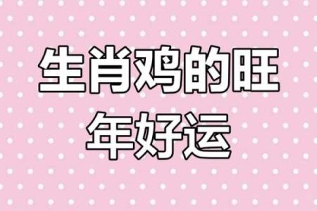 属鸡人在的财运、事业与感情运势