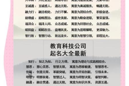 一人公司起名技巧：如何打造独特又有吸引力的公司名称