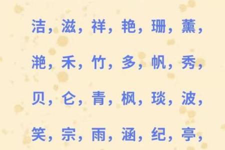 红金公司起名的独特魅力与优势分析