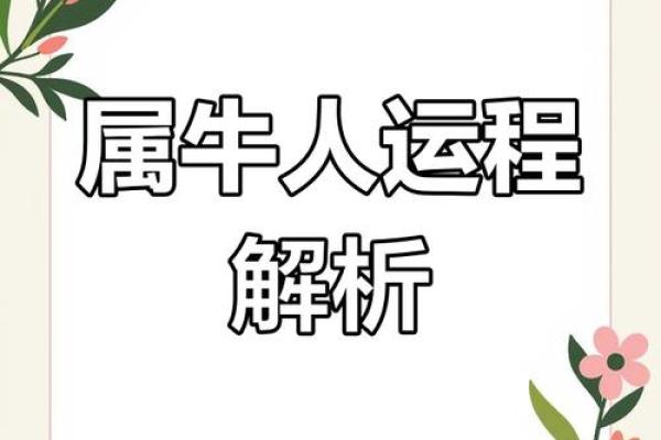 牛人运程大揭秘:成功的关键因素是什么 牛人运程大揭秘:成功的关键因素是什么