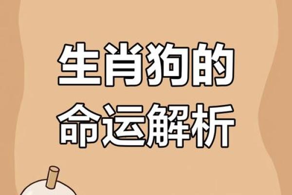 猴年狗人运程解析:运势大揭秘 猴年狗人运程解析:运势大揭秘